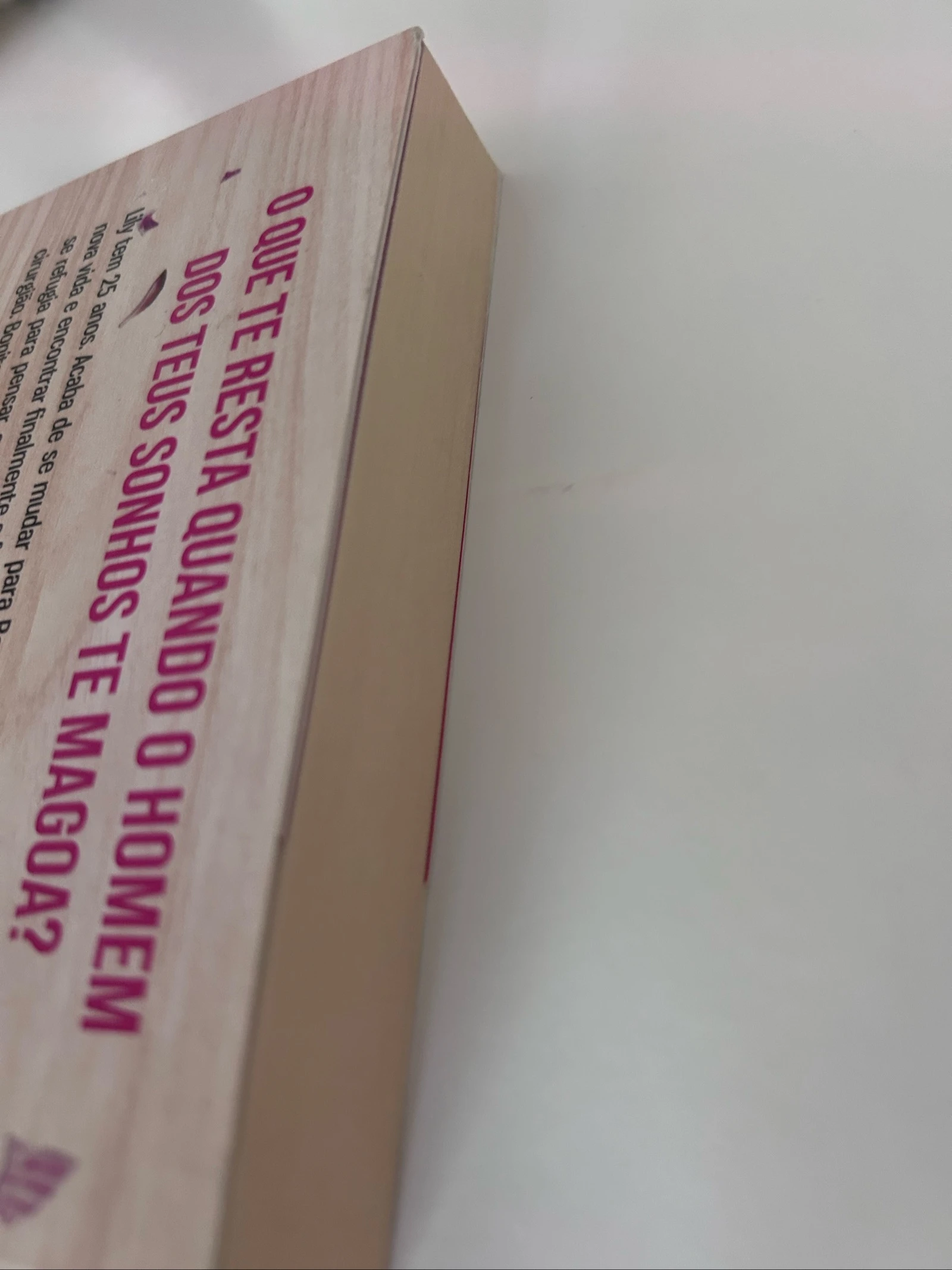 "Ça s'arrête ici" Colleen Hoover – photo 6